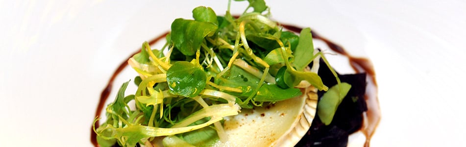 food cooked by catering students